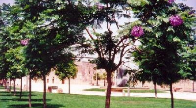 Tricase - Un suggestivo scorcio di Piazza Cappuccini 